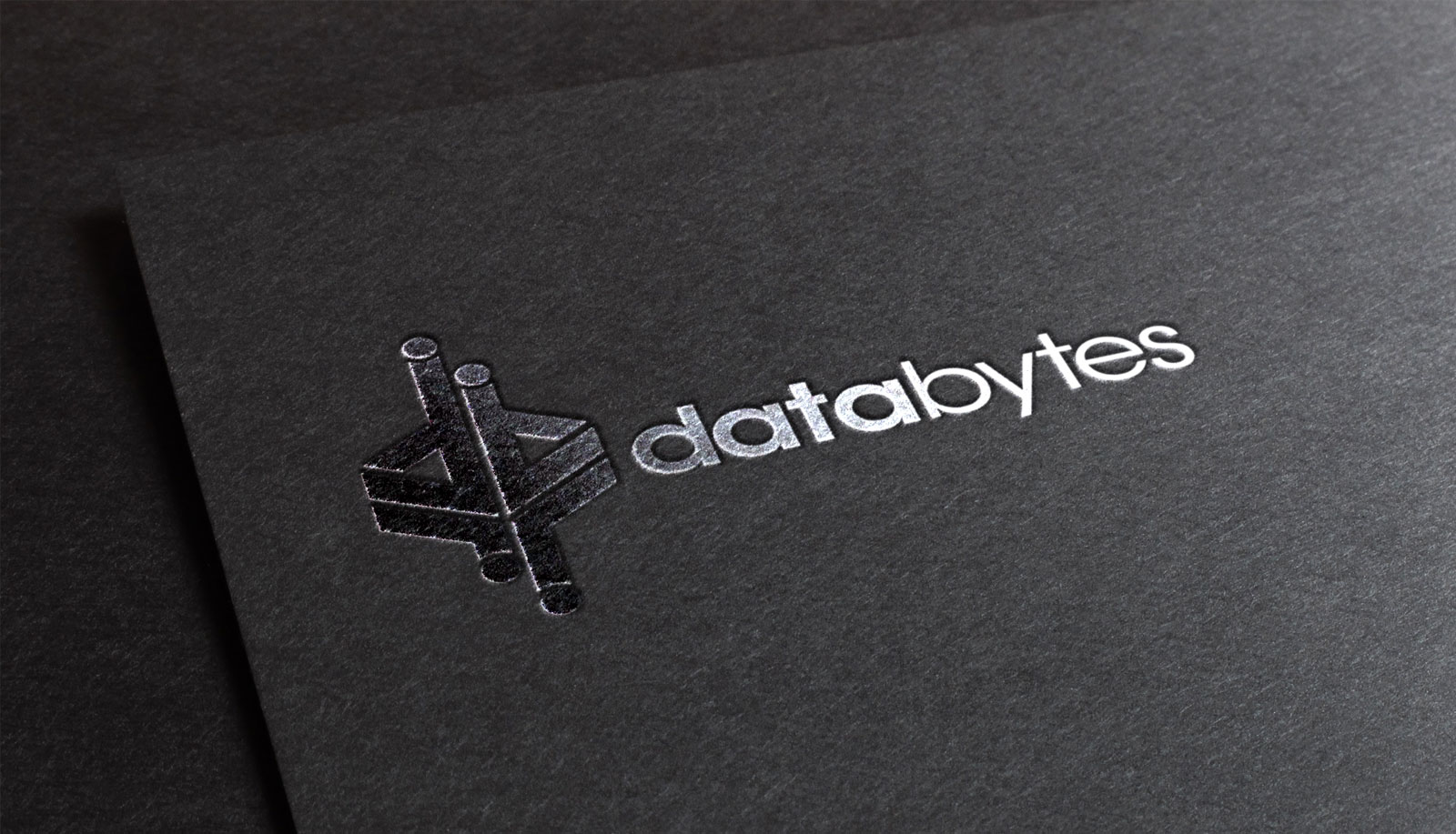 DataBytes 1